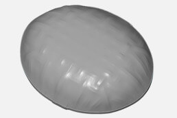 Coracle Scanning Output