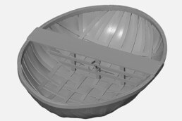 Coracle Scanning Output